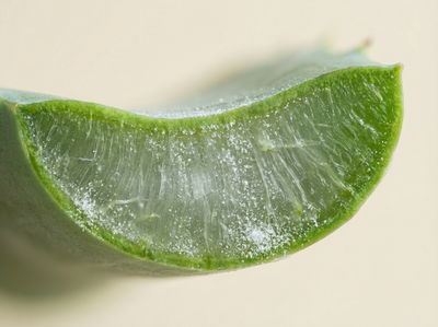 Inulin (Agave)
